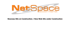 Desktop Screenshot of netspace.mc