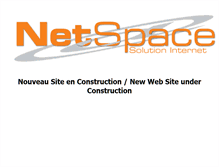 Tablet Screenshot of netspace.mc